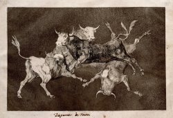 Fool`s Folly by Francisco De Goya